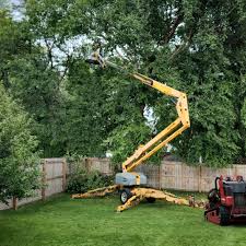 Best Lawn Watering Services  in Jamestown, KY