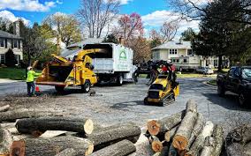 Lawn Drainage Solutions in Jamestown, KY