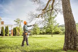 Best Soil Testing and Treatment  in Jamestown, KY
