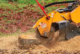 Best Weed Control  in Jamestown, KY