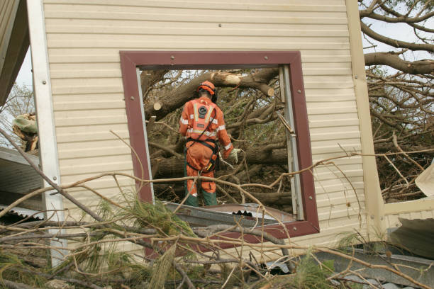 Best Commercial Tree Services  in Jamestown, KY