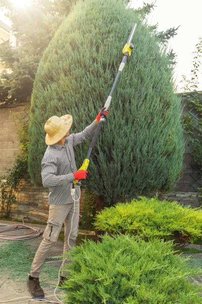 Best Lawn Drainage Solutions  in Jamestown, KY